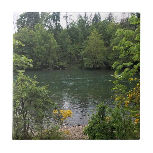Willamette River, Elijah Bristow State Park, ELLER Kakelplatta (Framsidan)