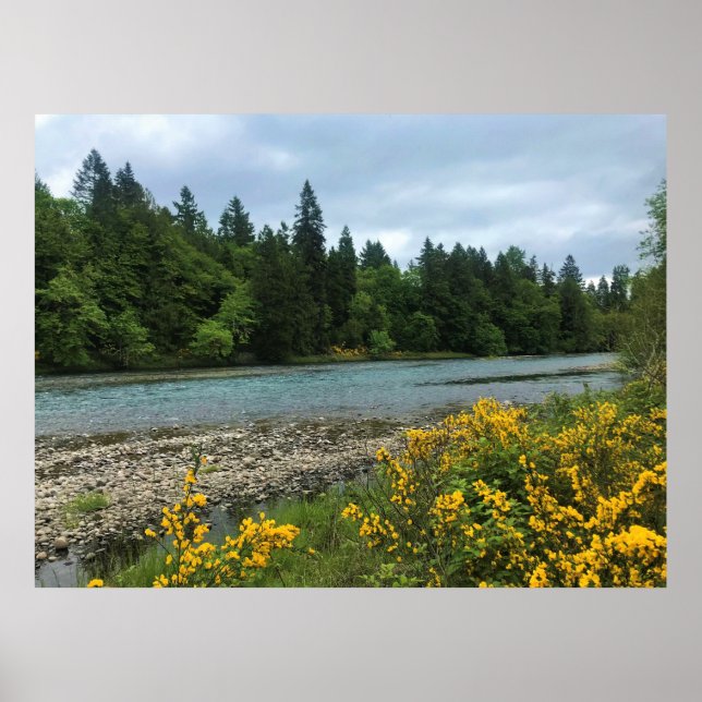 Willamette River, Elijah Bristow State Park, ELLER Poster (Framsidan)