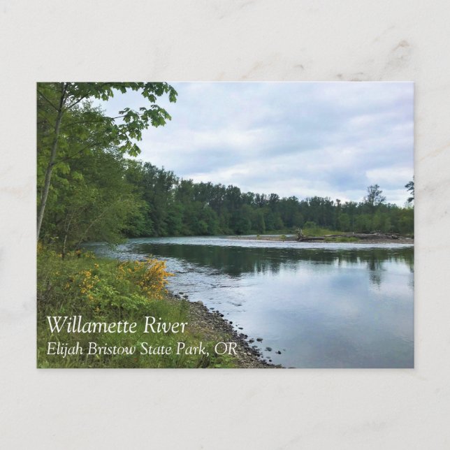 Willamette River, Elijah Bristow State Park ELLER  Vykort (Framsida)