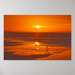 Willet on the Beach at Dawn, Florida Poster