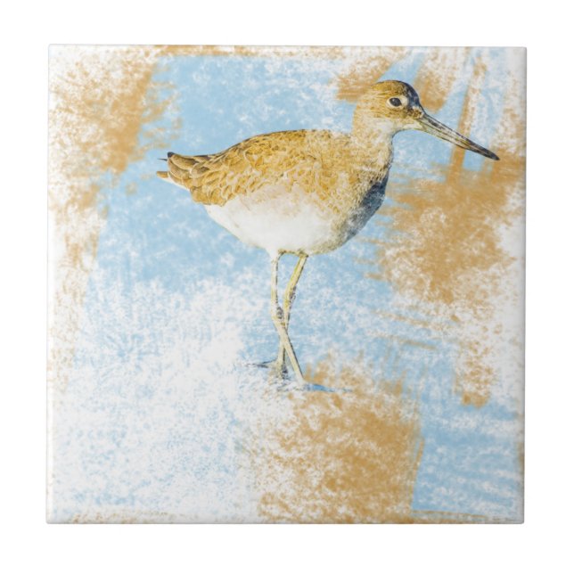Willet Shorebird Artwork Beach Coastal Living Kakelplatta (Framsidan)