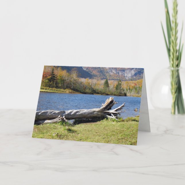 Willey's Pont, Saco River, North Conway, NH Kort (Framsida)