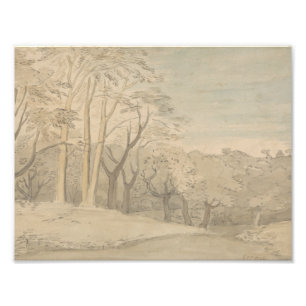 William Blake - A Woody Ligcape Fototryck