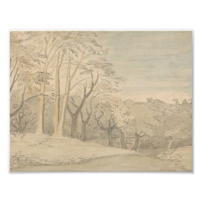 William Blake - A Woody Ligcape Fototryck (Framsidan)