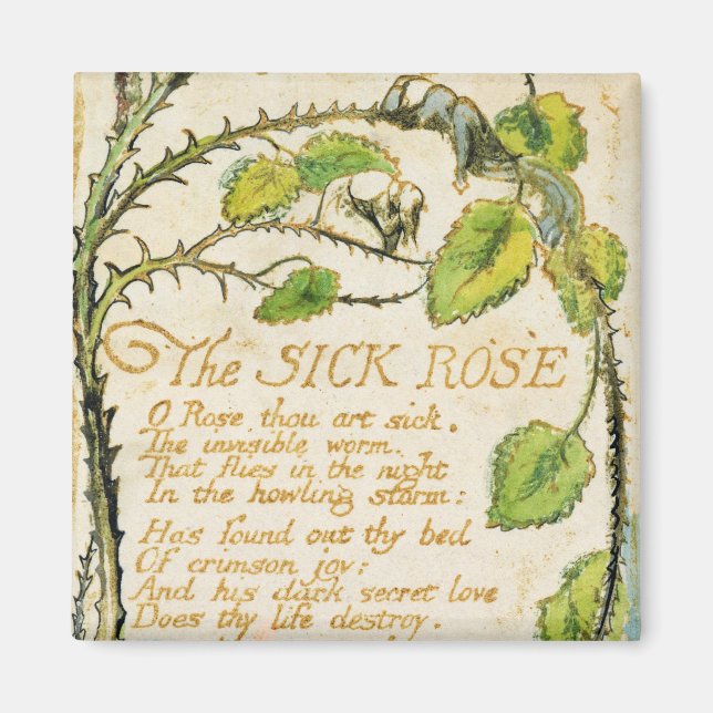 William Blake | Sjuka Ro från Sång Innoc Magnet (Framsidan)