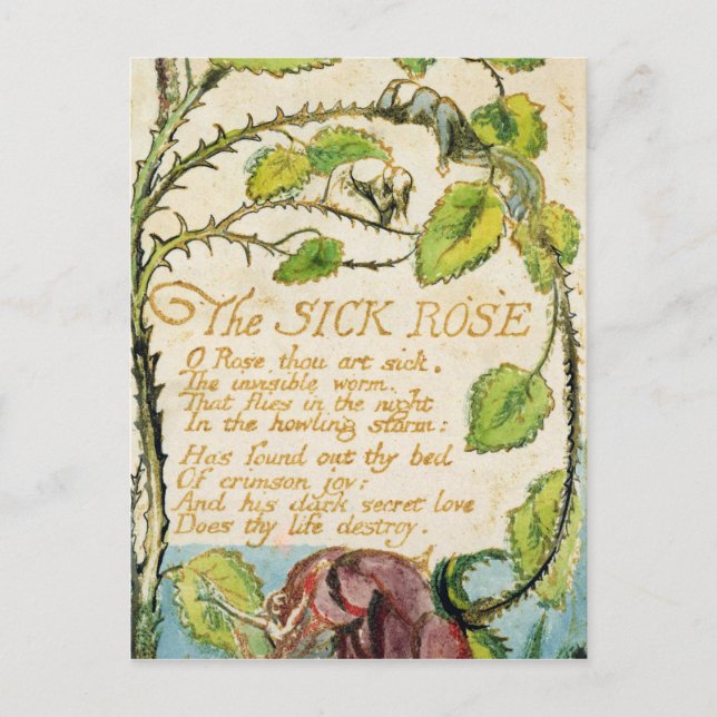 William Blake | Sjuka Ro från Sång Innoc Vykort (Framsida)