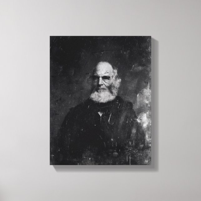 William Cullen Bryant c.1851-60 Canvastryck (Framsida)