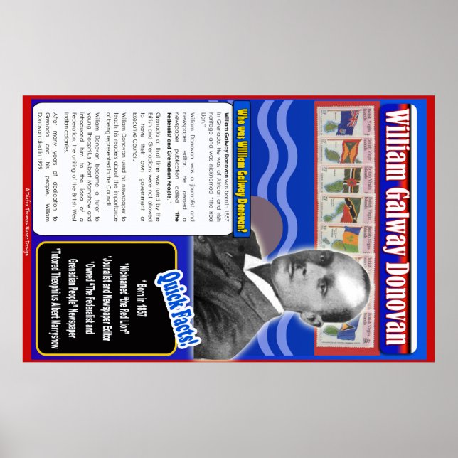 William Galway Donovan Biography Poster (Framsidan)