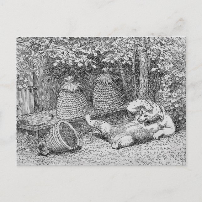 William H. Beard - Bear Stung by Bees Postcard Vykort (Framsida)