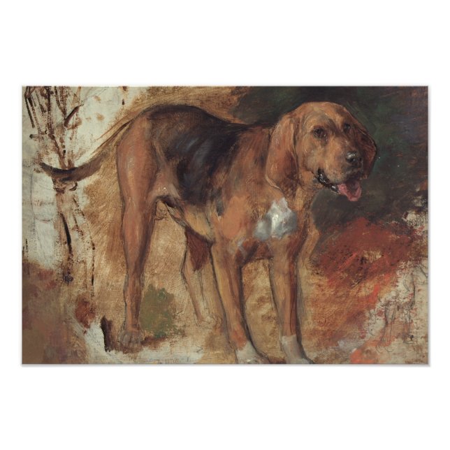 William Holman Hunt - Studie av en Bloodhound Fototryck (Framsidan)
