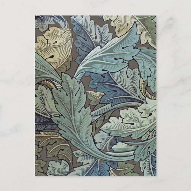 William Morris Acanthus Sage Blomma Blommig Botani Vykort (Framsida)