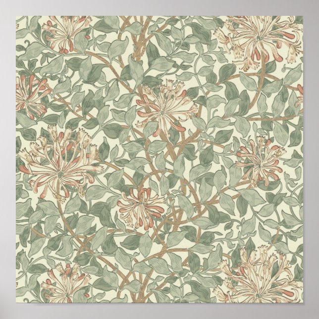 William Morris Honeysuckle Flower Tapet Poster (Framsidan)