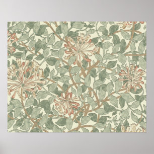 William Morris Honeysuckle Flower Tapet Poster