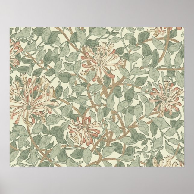 William Morris Honeysuckle Flower Tapet Poster (Framsidan)