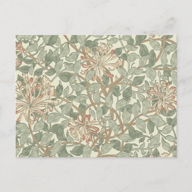 William Morris Honeysuckle Grönt Blommigt Vykort (Framsida)