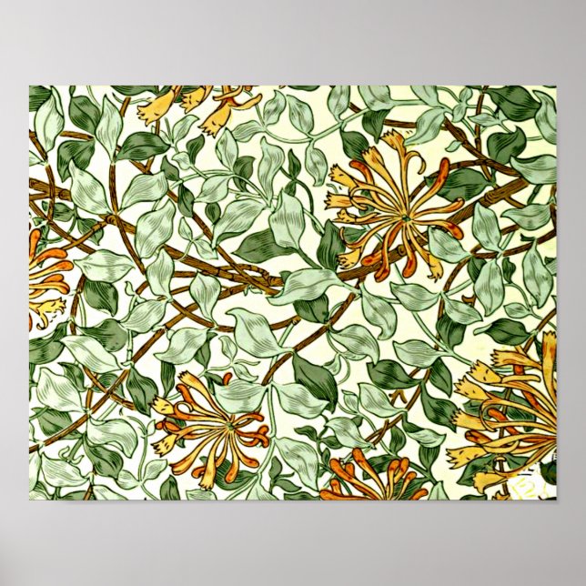 William Morris - Honeysuckle Grönt och Guld Poster (Framsidan)