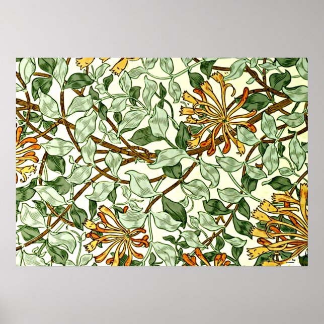 William Morris - Honeysuckle i Grönt och Guld Poster (Framsidan)