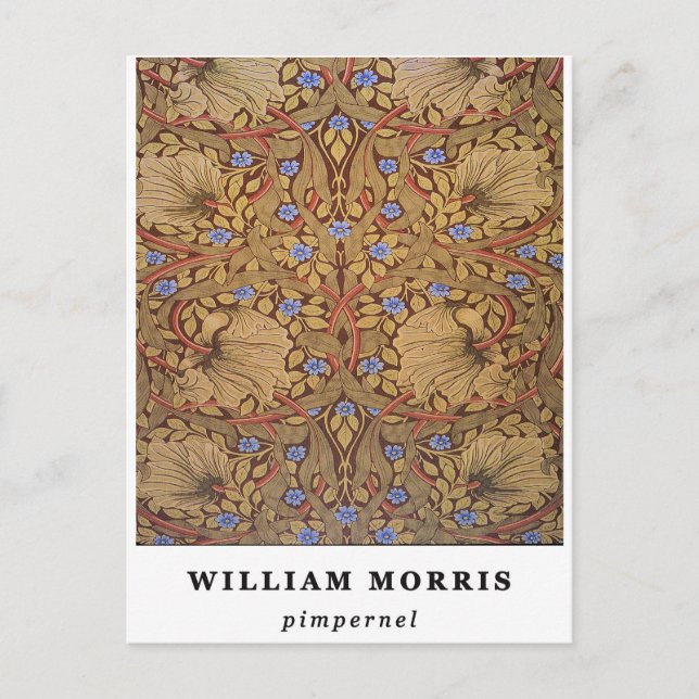 William Morris Pimpernel Vykort (Framsida)