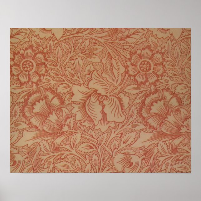 William Morris Rosa Poppy Flower Blommigt Poster (Framsidan)
