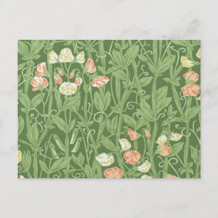William Morris Sweet Pea Blommigt Design Vykort