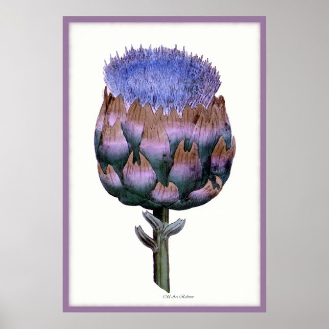 William Woodville Series ~ Scotch Thistle Poster (Framsidan)