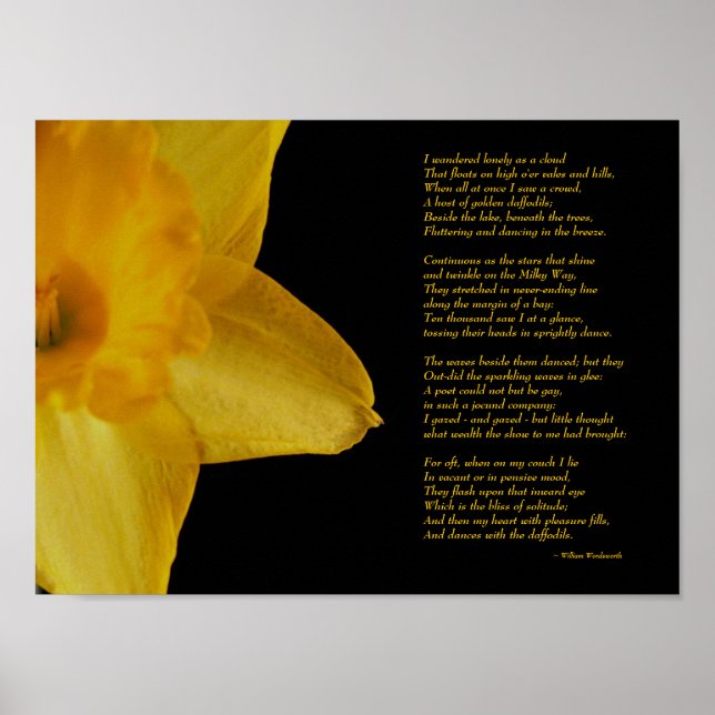 William Wordsworth Daffodils Poster (Framsidan)