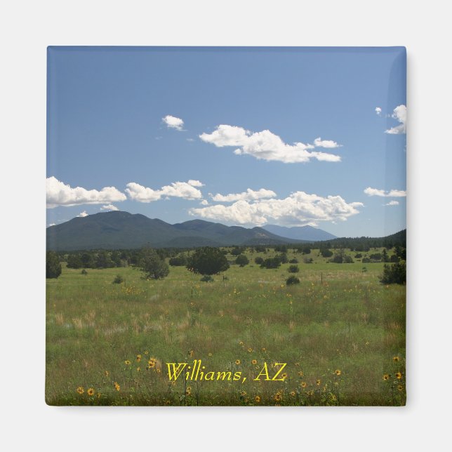 Williams AZ Magnet (Framsidan)