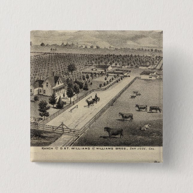 Williams Ranch, Goodrich Quarry Knapp (Framsida)