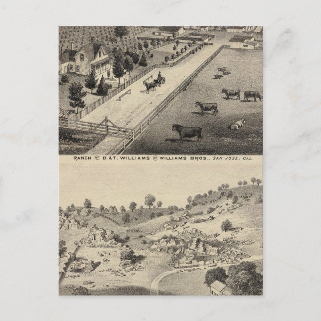 Williams Ranch, Goodrich Quarry Vykort (Framsida)