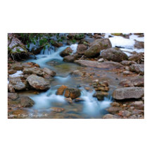 Williams River Tea Bäck Area