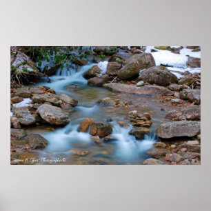 Williams River Tea Bäck Area Poster