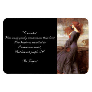 Williams Shakespeare stormcitationstecknet Magnet