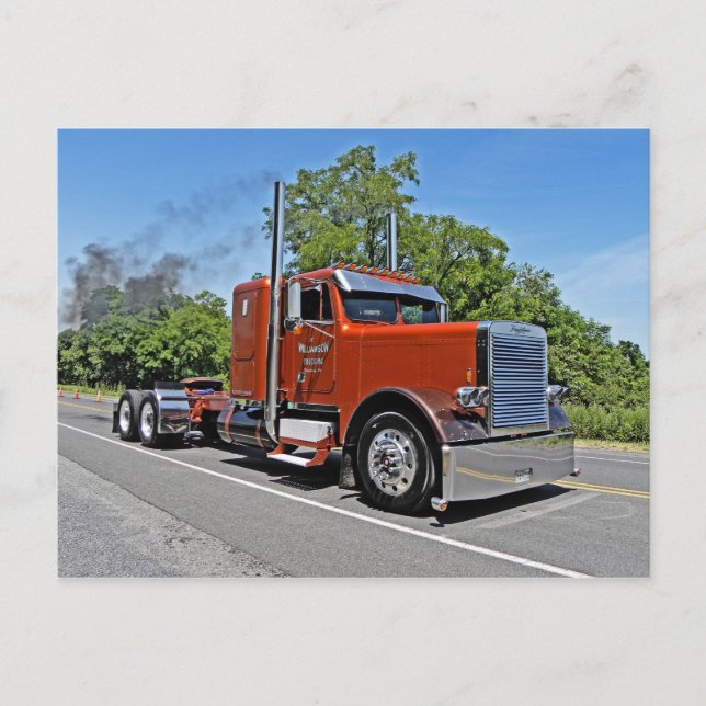 Williamsons FLC Bobtail Postcard Vykort (Framsida)