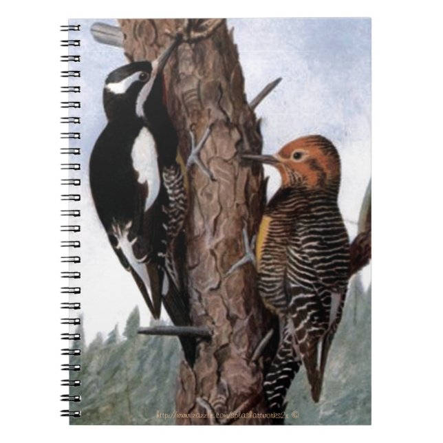 "Williamsons Sapsuckers" Anteckningsbok (Framsidan)