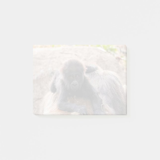 Willie B III i Zoo Atlanta (2023) Post-it Block (Framsida)