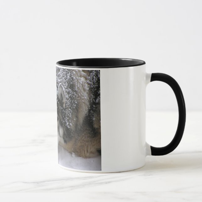 Willie flicka mugg (Höger)
