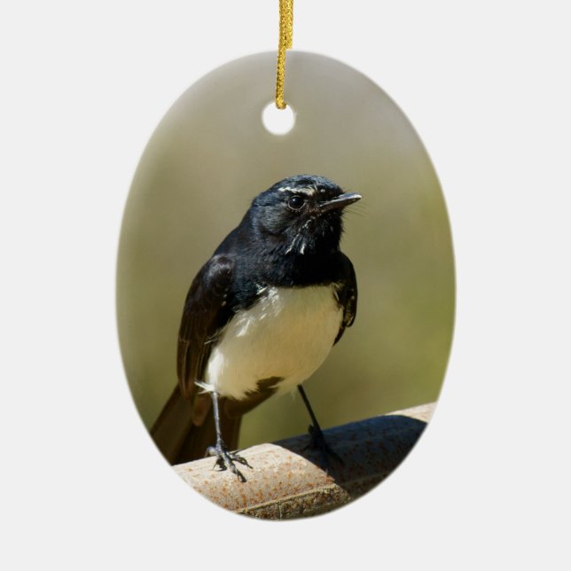 Willie Wagtail Julgransprydnad Keramik (Framsidan)