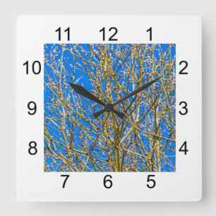 Willow-buds - Vår-morgonen Fyrkantig Klocka