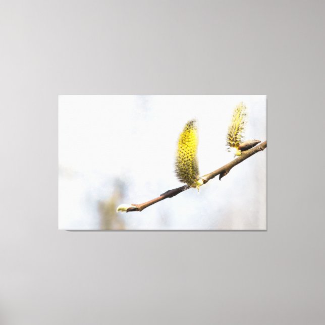 Willow Catkins - Silver World Canvastryck (Framsida)