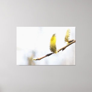 Willow Catkins - Silver World Canvastryck