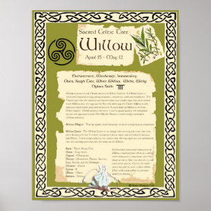 WILLOW CELTIC HELIG TRÄD POSTER