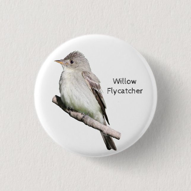 Willow Flycatcher Knapp (Framsida)