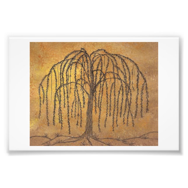 Willow Fototryck (Framsidan)