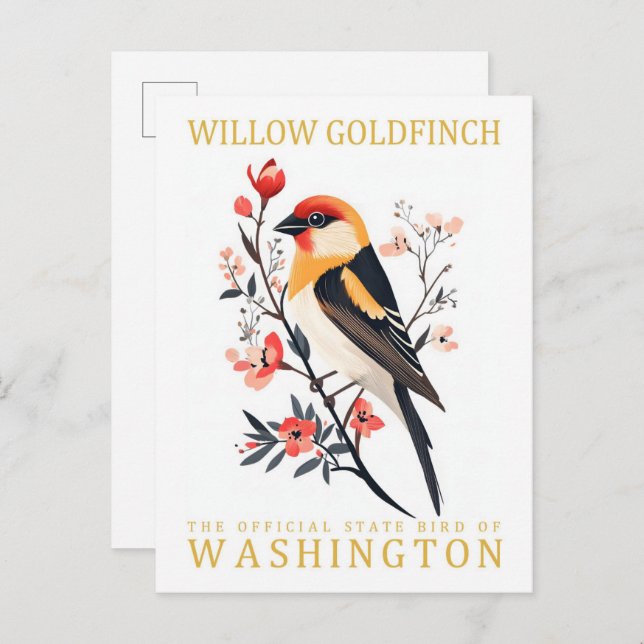 Willow Goldfink Fågel i Washington Resa Vykort (Fram/baksida)