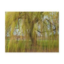 Willow i Breeze