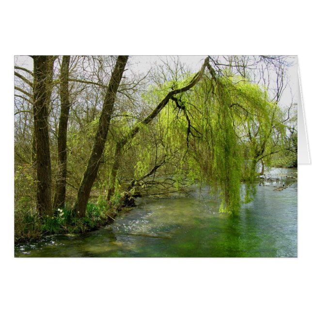 Willow på flodtestkortet hälsningskort (Framsidan Horizontal)