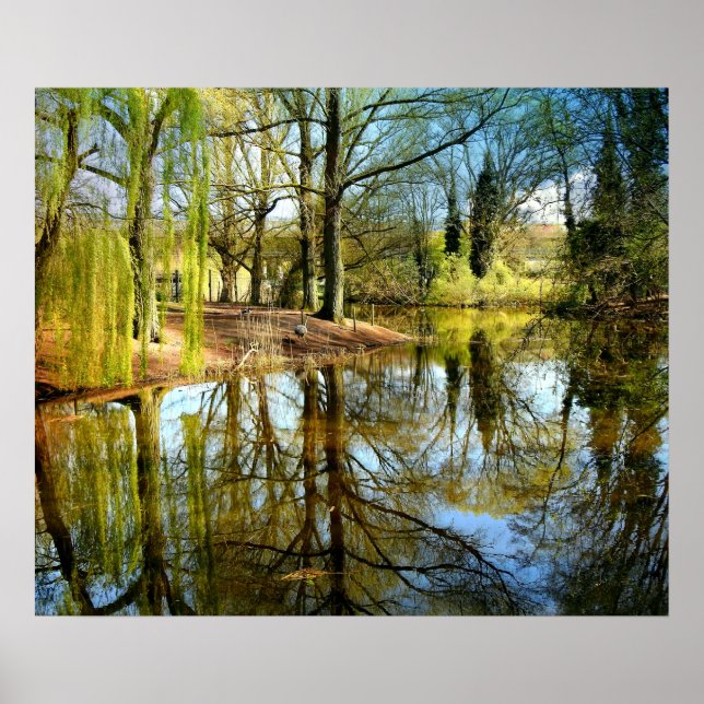Willow Pond Vatten Reflection Poster (Framsidan)