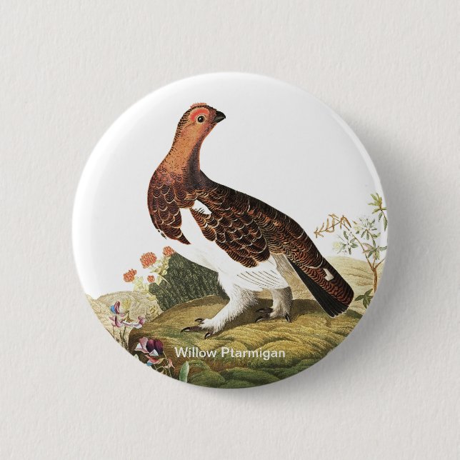 Willow Ptarmigan av John James Audubon Birder Bird Knapp (Framsida)