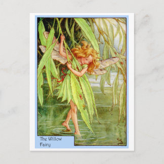 Willow Träd Fairy Vykort