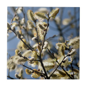 WILLOW TRÄD KAKELPLATTA